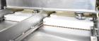 Used Quantum Model P200 Pepperoni Topping Applicator